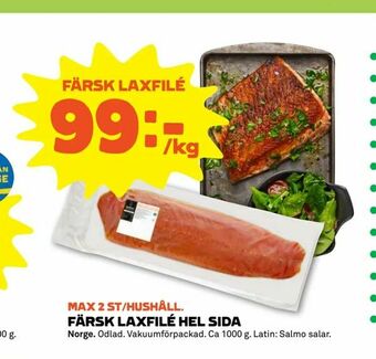 Färsk laxfilé hel sida