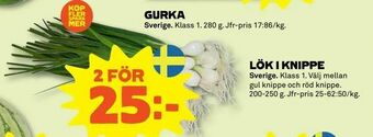 Coop Forum Lök i knippe erbjuda