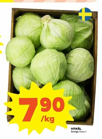 Coop Extra Vitkål erbjuda