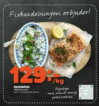 Regnbåge