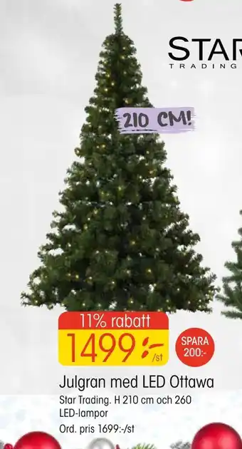 Julgran med led ottawa
