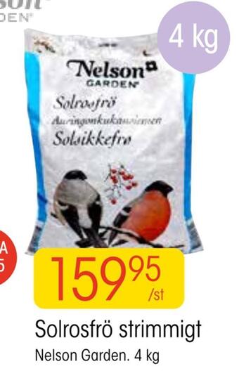 EKO Solrosfrö strimmigt erbjuda