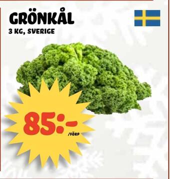 Grönkål