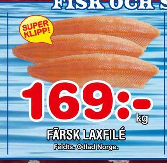 Nya Pulsen Färsk laxfilé erbjuda