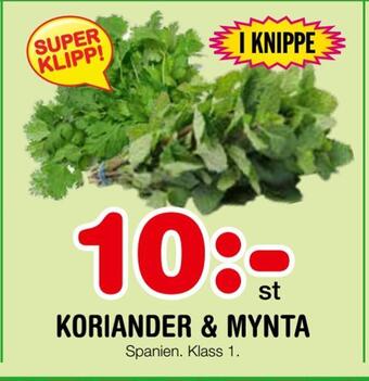 Nya Pulsen Koriander & mynta erbjuda