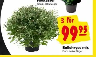 City Gross Bollchryss mix erbjuda
