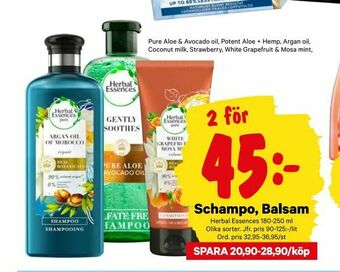 City Gross Schampo, Balsam erbjuda