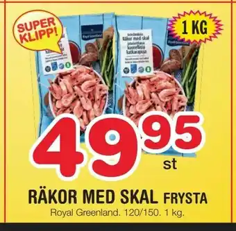 Räkor med skal frysta