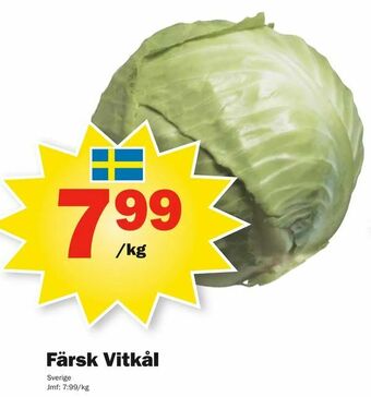 Pekås Färsk Vitkål erbjuda