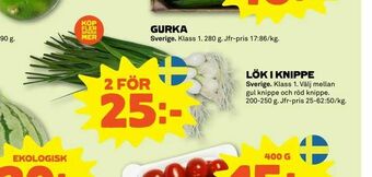 Stora Coop Lök i knippe erbjuda