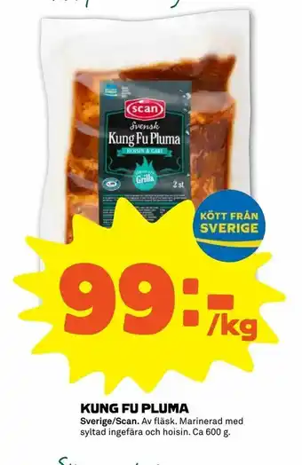 Stora Coop Kung fu pluma erbjuda