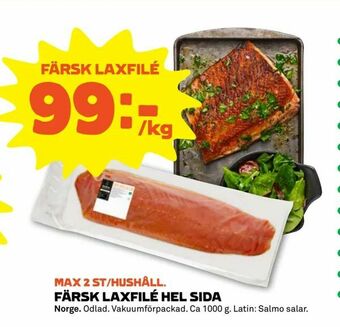 Färsk laxfilé hel sida
