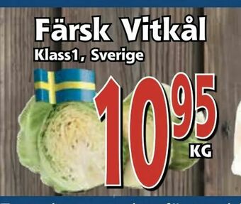 Supergrossen Färsk Vitkål erbjuda
