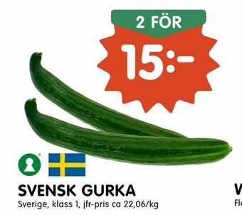 Tempo Svensk gurka erbjuda