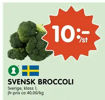 Tempo Svensk broccoli erbjuda