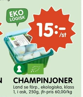 Tempo Champinjoner erbjuda