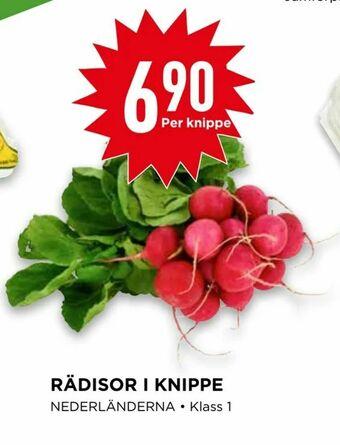 Willys Rädisor i knippe erbjuda