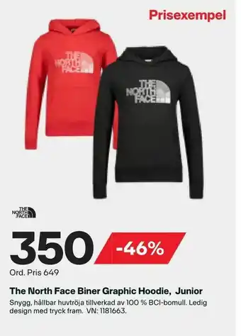 The North Face Biner Graphic Hoodie, Junior
