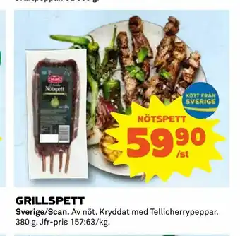 Grillspett