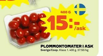 Stora Coop Plommontomater i ask erbjuda