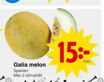 Galia melon