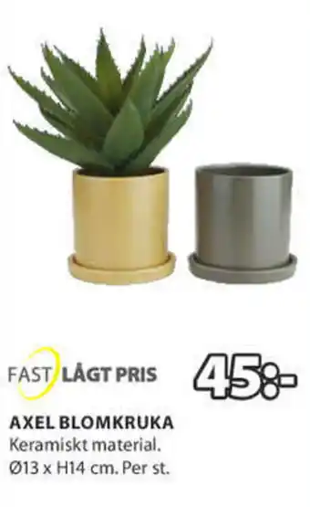JYSK Fast Lågt Pris Axel Blomkruka erbjuda