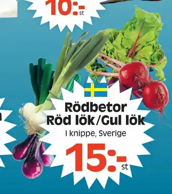 Rödbetor Röd lök/Gul lök