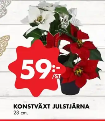 Liljeholmen blommor