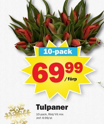 Tulpaner