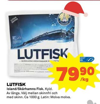 Lutfisk