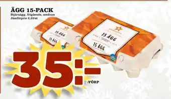 Din Mat Ägg 15-pack erbjuda