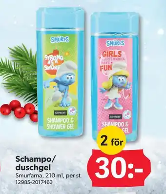 DollarStore Schampo/ duschgel erbjuda