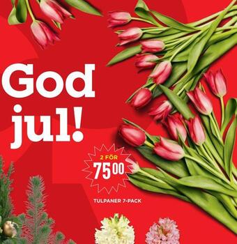 Willys Tulpaner 7-pack erbjuda