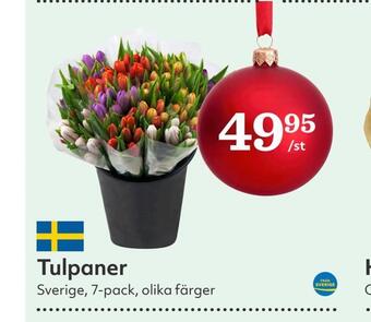 Hemköp Tulpaner erbjuda