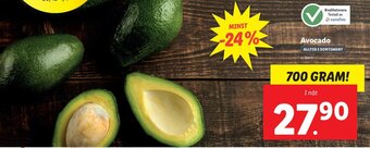 Avocado