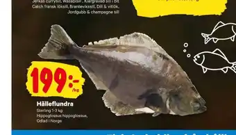 City Gross Ingelsta kalkon hälleflundra erbjuda