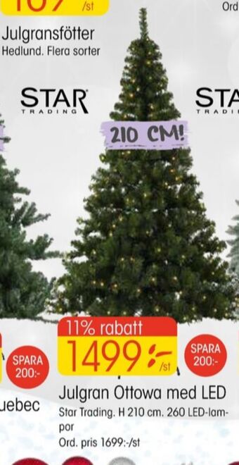 EKO Star trading julgran erbjuda