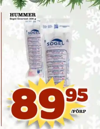 Sogel hummer