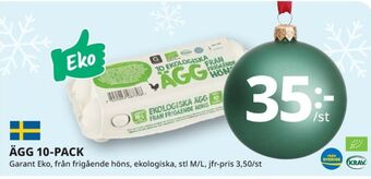 Tempo Garant ägg erbjuda