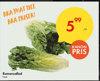 Snabbgross Romansallad erbjuda