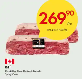 Snabbgross Biff 4,8kg erbjuda