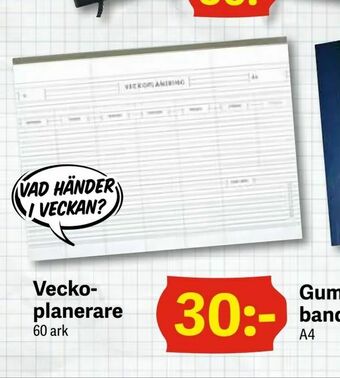 DollarStore Veckoplanerare erbjuda