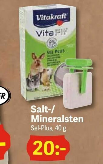 Salt-/ Mineralsten