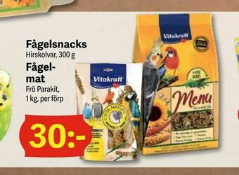 DollarStore Fågelmat erbjuda