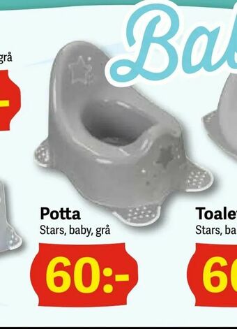 Potta