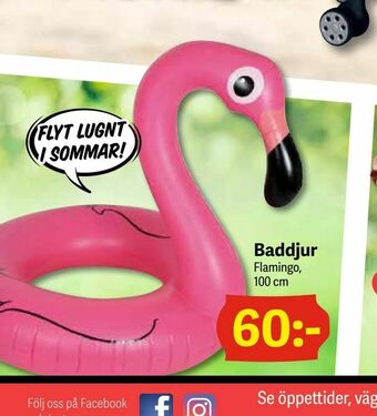 DollarStore Baddjur erbjuda