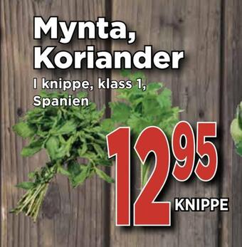 Supergrossen Mynta, koriander erbjuda
