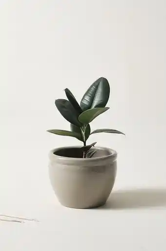 Jotex Megan kruka ø 32 cm erbjuda