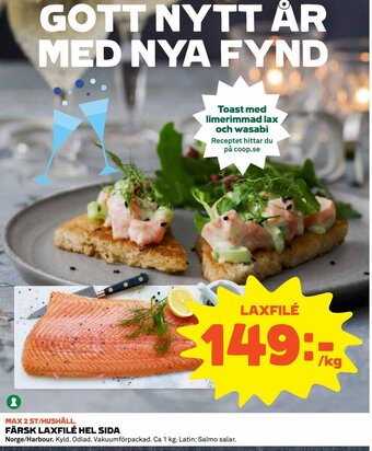 Färsk Laxfilé Hel Sida