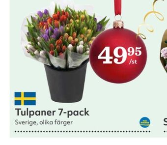 Hemköp Driscolls blommor erbjuda